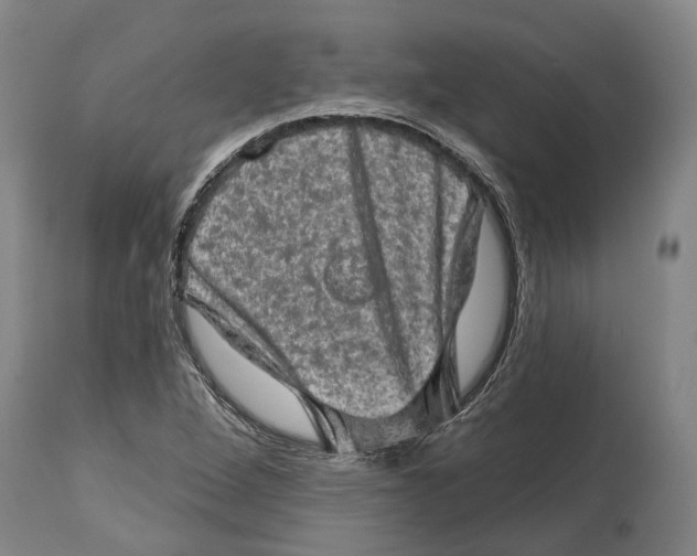 X0000114651264200911101313