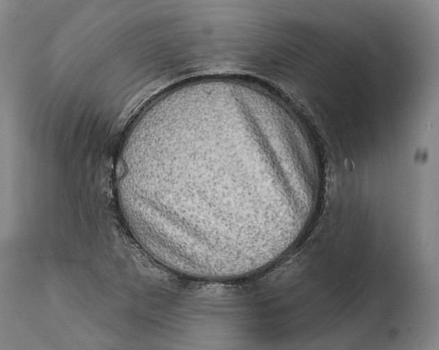 X0000114651265200911101313