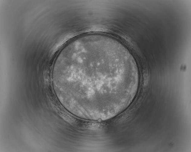 X0000114651266200911101313