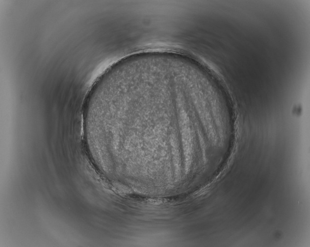 X0000114651267200911101313