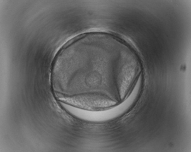 X0000114651268200911101313