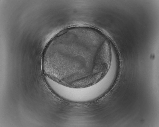 X0000114651269200911101313