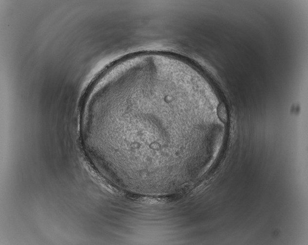 X0000114651270200911101313