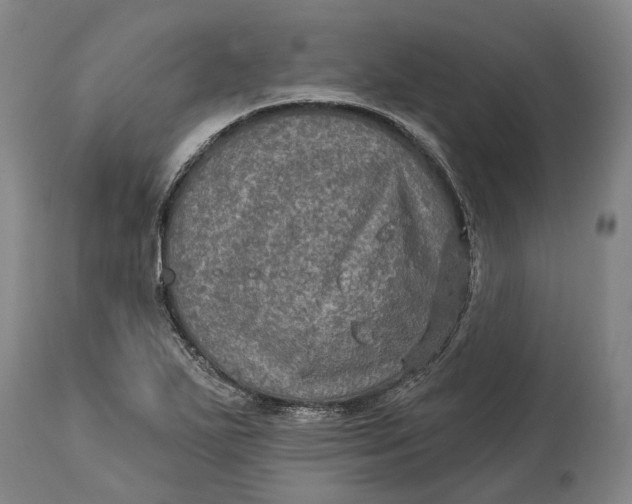 X0000114651271200911101313