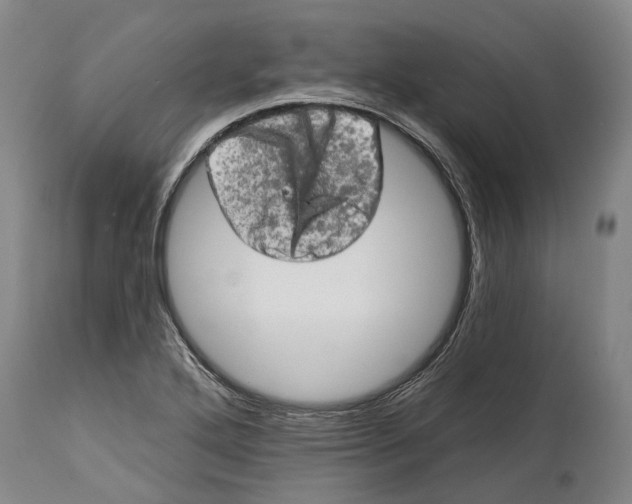 X0000114651272200911101313