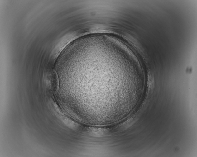 X0000114651273200911101313