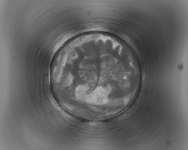 X0000114651274200911101313