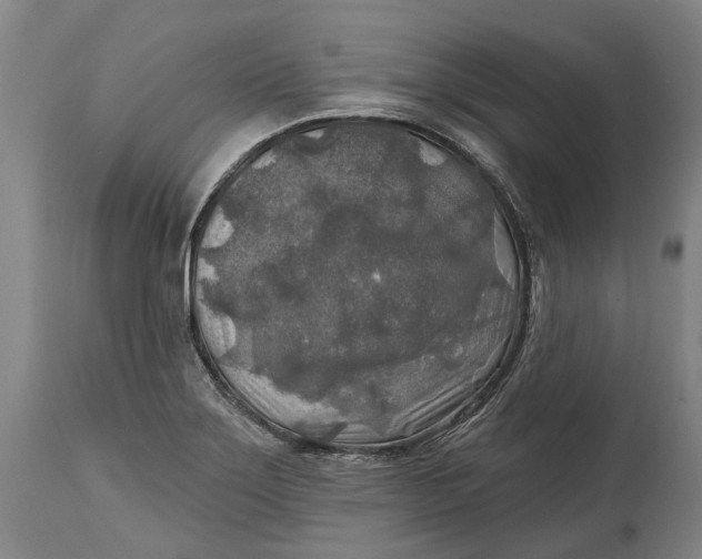 X0000114651275200911101313