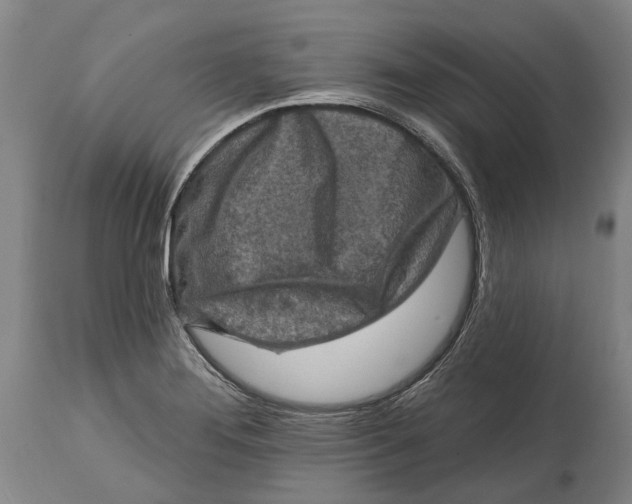 X0000114651276200911101313