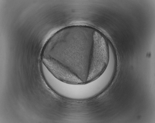 X0000114651277200911101313