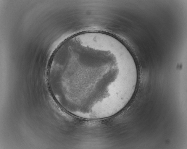 X0000114651278200911101312