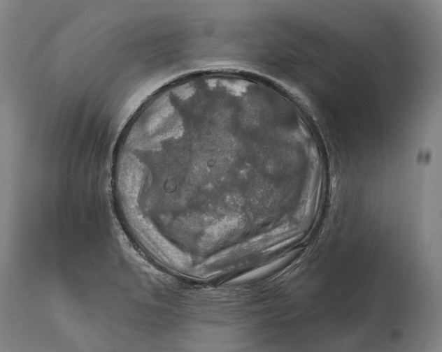 X0000114651279200911101312