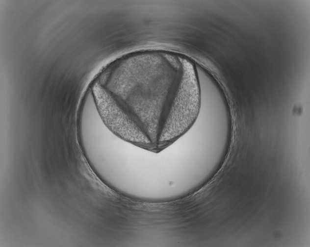 X0000114651280200911101312