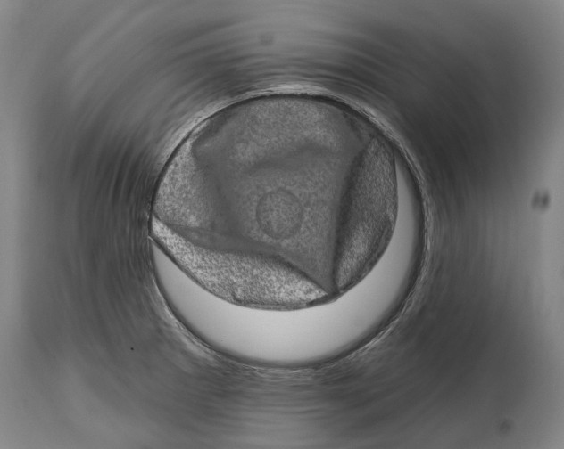 X0000114651281200911101312