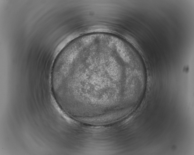 X0000114651282200911101312