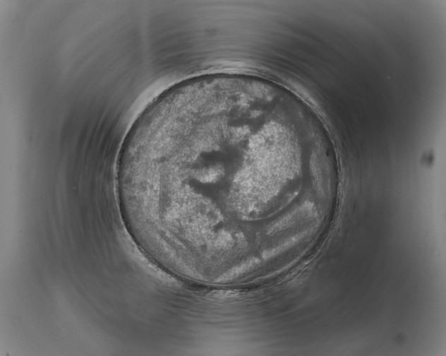 X0000114651283200911101312