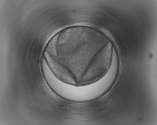 X0000114651284200911101312