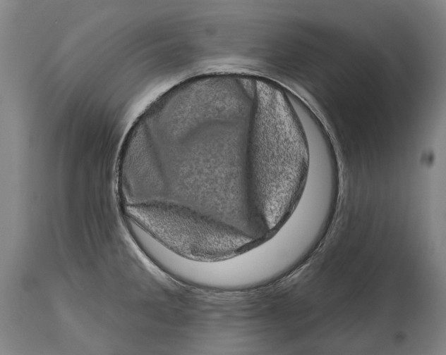 X0000114651285200911101312