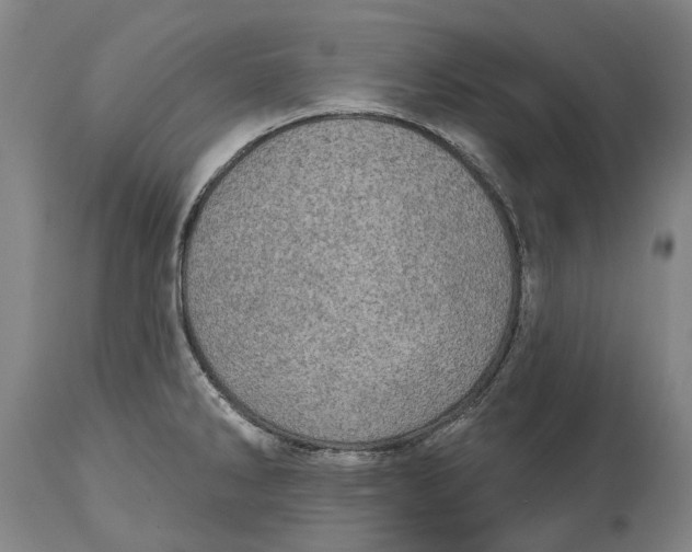 X0000114651286200911101312