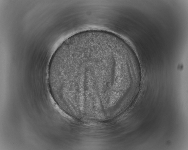 X0000114651287200911101312