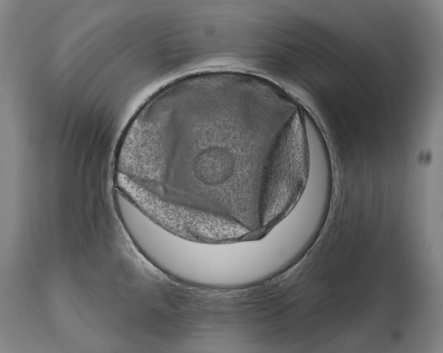 X0000114651288200911101312