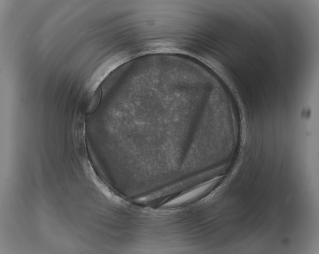 X0000114651289200911101312