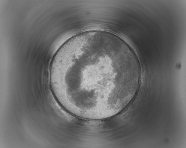 X0000114651290200911101312