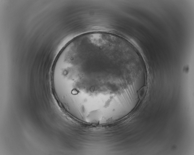 X0000114651291200911101312