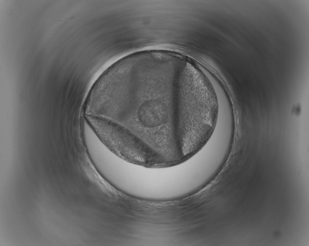 X0000114651292200911101312