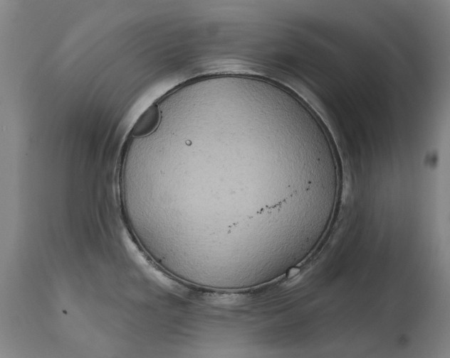 X0000114651293200911101312