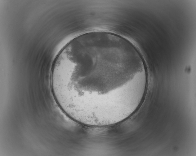 X0000114651294200911101312