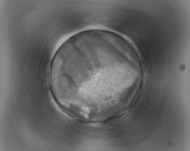 X0000114651295200911101312