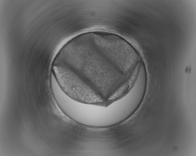 X0000114651296200911101312