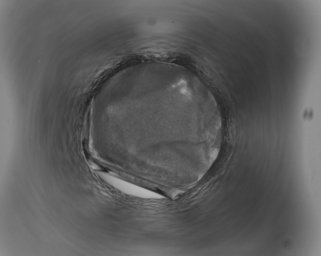 X0000114651297200911101312