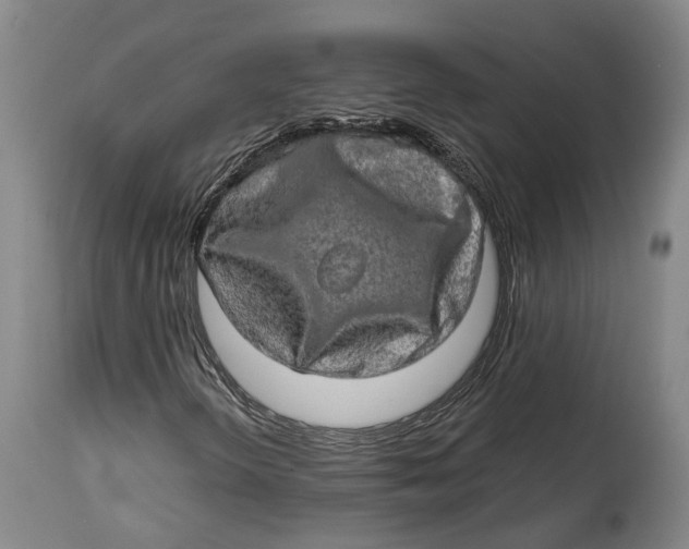 X0000114651298200911101312