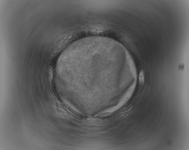 X0000114651299200911101312