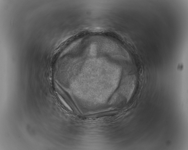 X0000114651301200911101312