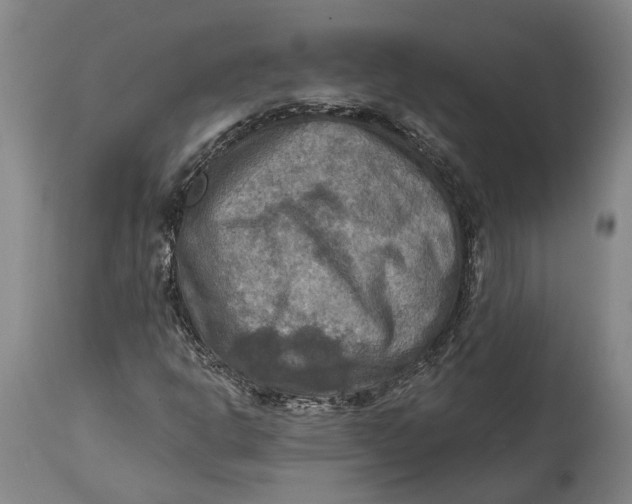 X0000114651302200911101312