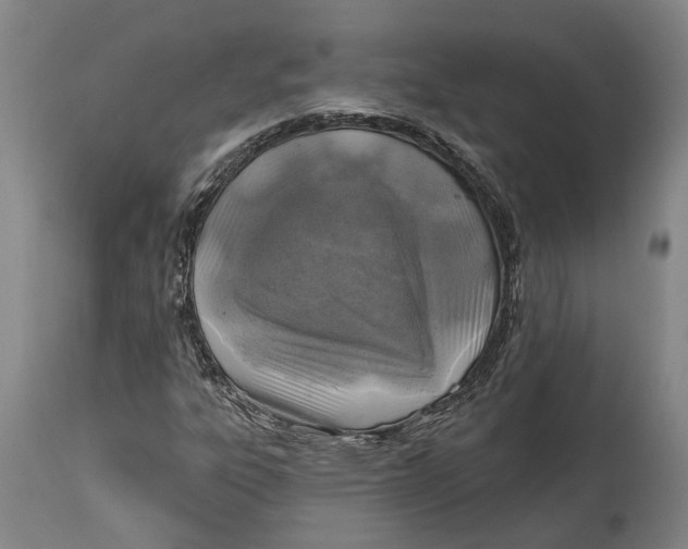 X0000114651303200911101312