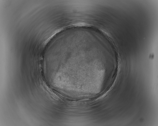 X0000114651305200911101312