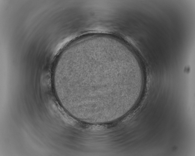 X0000114651307200911101312