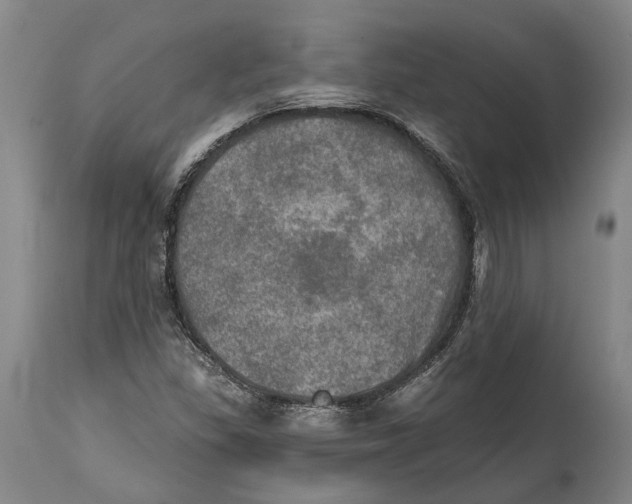 X0000114651309200911101312