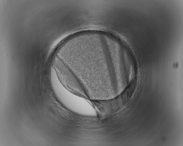 X0000114651310200911101312