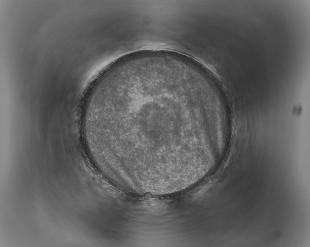 X0000114651311200911101312