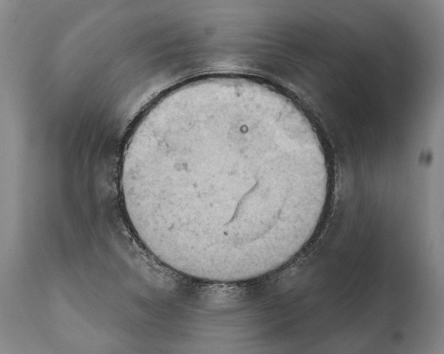 X0000114651314200911101312