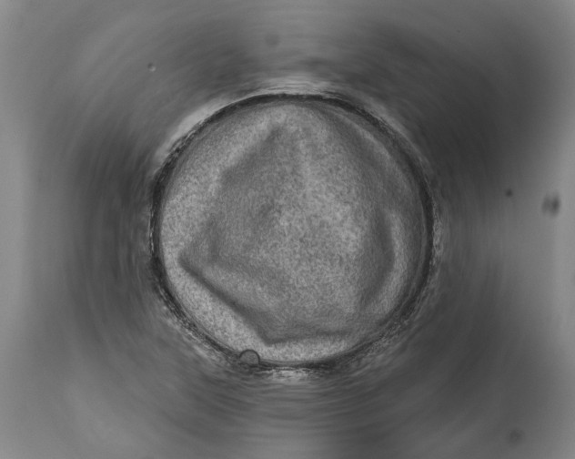 X0000114651315200911101312