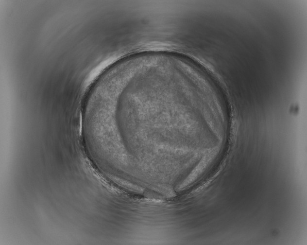 X0000114651317200911101312