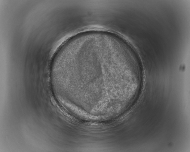 X0000114651318200911101312