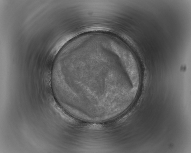 X0000114651321200911101312