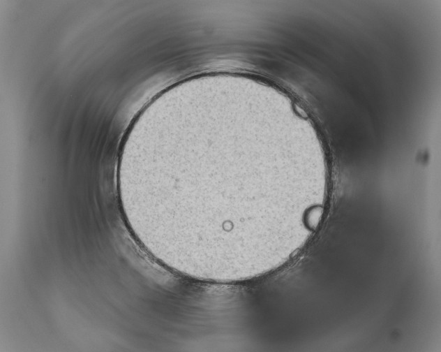 X0000114651322200911101312